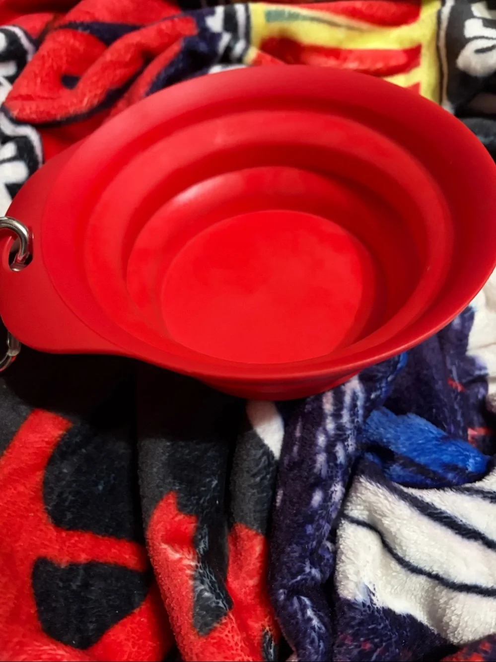 🖤On The Go Collapsable Dog Water Bowl🖤
